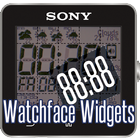 WatchFace Widgets SmartWatch2 icône