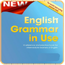 English Grammar in Use APK