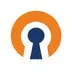 OpenVPN Connect APK