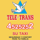 TeleTrans Clientes 아이콘