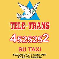 TeleTrans Clientes الملصق