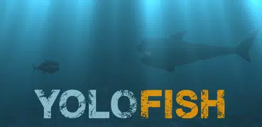 Yolo Fish