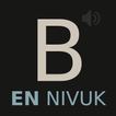 New Audio Bible International Version UK (NIVUK)