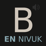 New Audio Bible International Version UK (NIVUK) ikon