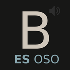 Nueva Audio Biblia (OSO) icône