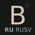 Новая Русская Аудио Библия (RU icône