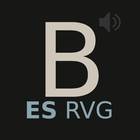 Nueva Audio Biblia (RVG04) icône