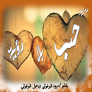 رواية...حب بلا رؤيه APK
