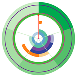 Roulette des bébés