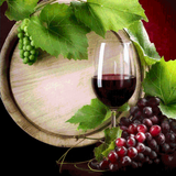 Cave dos vinhos biểu tượng