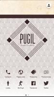 Pugil poster