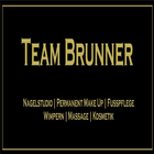 Team Brunner icône