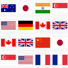 Concentration (Flags) 圖標