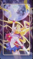 Sailor Moon Wallpaper ภาพหน้าจอ 3