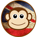 Verbes irréguliers anglais APK