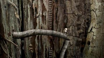 Samorost 2 스크린샷 1