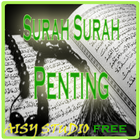Al-Quran & Surah-Surah Amalan  icône
