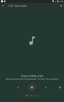 Blues Radios Live স্ক্রিনশট 2