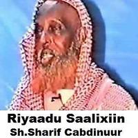 Riyaadu Saalixiin পোস্টার