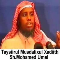 Taysiirul Musdalixul Xadiith Plakat