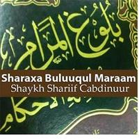 Buluughul Maraam screenshot 2
