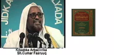 Kitaabka Arbaciinka Somali: Co