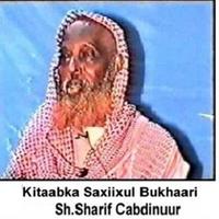 Saxiix Bukhaari Somali 포스터