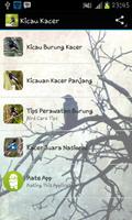 Kicau Kacer Juara 포스터