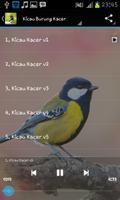 Kacer Birds screenshot 1