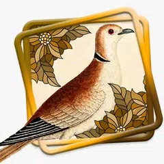 Скачать Kicau Perkutut Master ( Beautiful Turtledove) APK