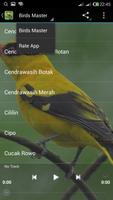 Kicauan Burung Terbaik 截圖 3