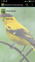 Kicauan Burung Terbaik 海報