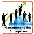 Management des Entreprises APK