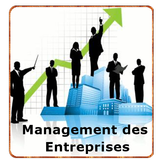 Management des Entreprises icône