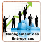 ikon Management des Entreprises