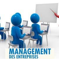 Management des Entreprises Affiche