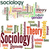 Learn Theory Sociology capture d'écran 1