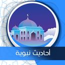 أحاديث نبوية شريفة  بدون نت aplikacja
