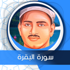 البقرة المنشاوي صوت بدون نت icon