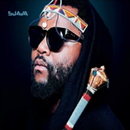 APK Sjava Ngempela Songs & Lyrics