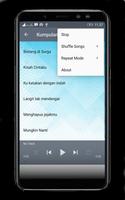 Lagu Peterpan Mp3 Offline ภาพหน้าจอ 3