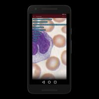 Hematology with100+ Worked Practicals - User Guide screenshot 1