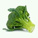 Health Benefits of Broccoli APK