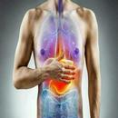 Superfoods That Aid Digestion APK