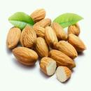 Health Benefits Of Almonds APK