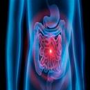 Top Best Foods for Gut Health APK