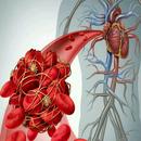 Blood Clot Home & Natural Reme APK