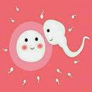 Tracking Ovulation And Menstrual cycle-APK