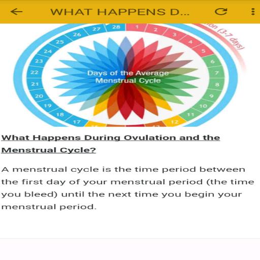 When Do You Start Ovulating After The Last Day Of Your Period Quora