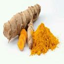 Top Health Benefits of Turmeric APK